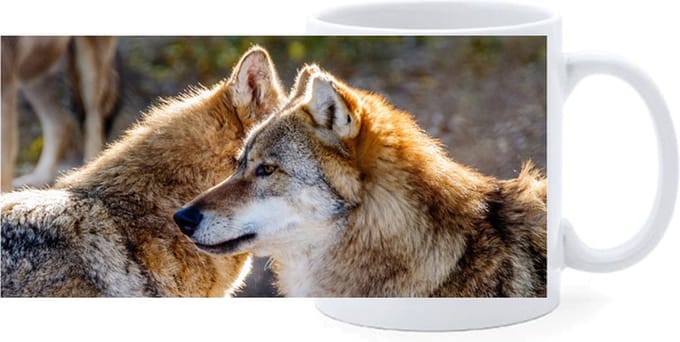 Beker - Wolf Roedel