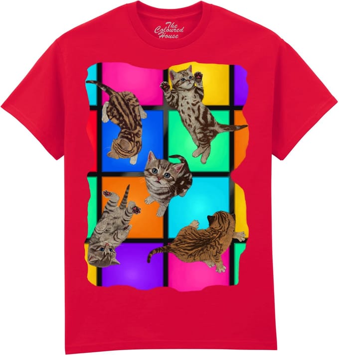 Disco Kittens The Coloured House T-shirt M