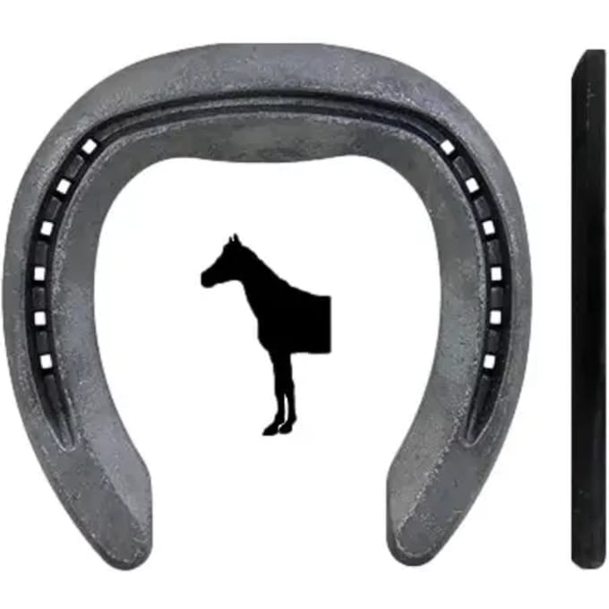 Fer à cheval ans bridle voor Malaysian Horseshoes Fitzwygram