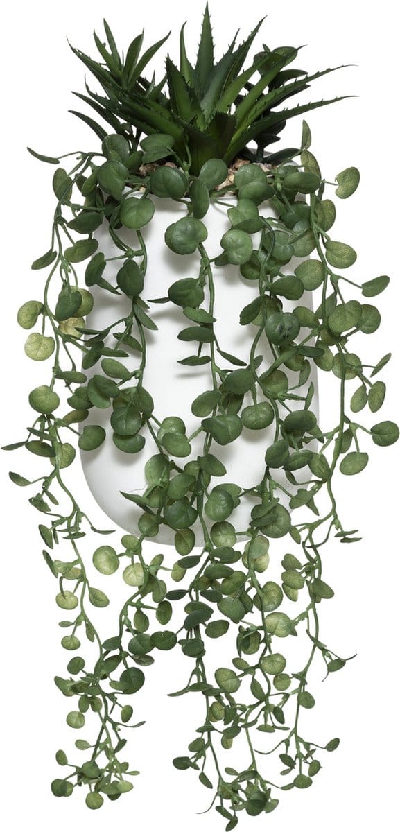 Kunstplant PEPEROMIA, hangend