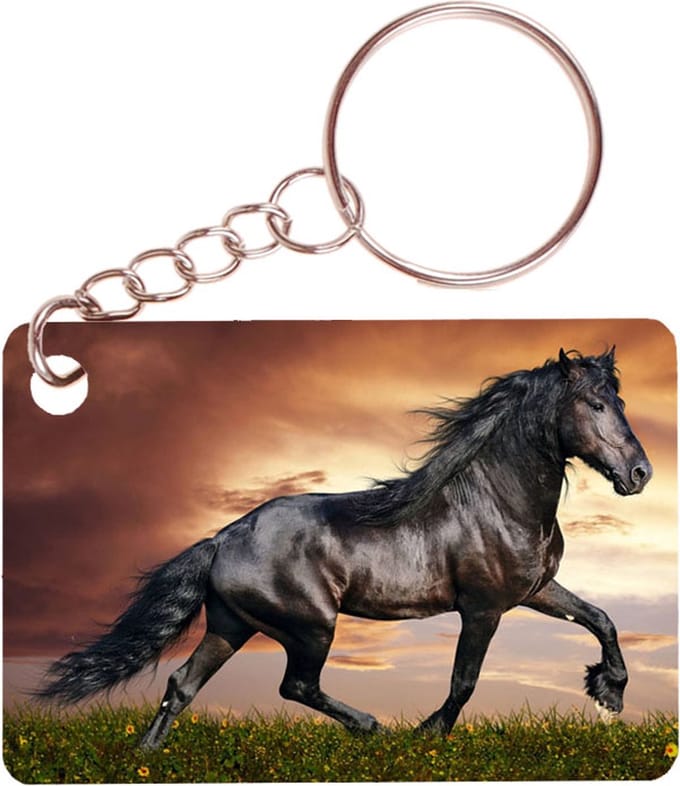 Sleutelhanger 6x4cm - Zwart Paard
