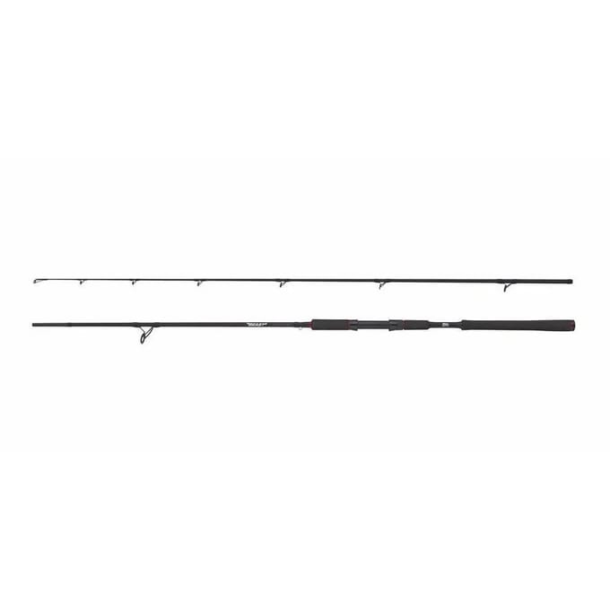 Spinhengel Abu Garcia Beast Pike 862XXH 40-140g