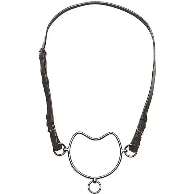 Chifney voor paard Norton Club