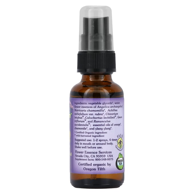 Flower Essence Services, Jardin d'enfants, Formule sans alcool, 1 oz (30 ml)
