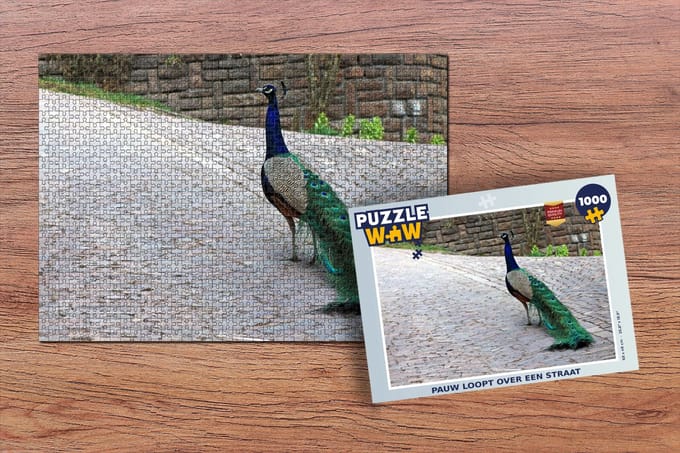 Puzzel Pauw - Veren - Stenen - Legpuzzel - Puzzel 1000 stukjes volwassenen