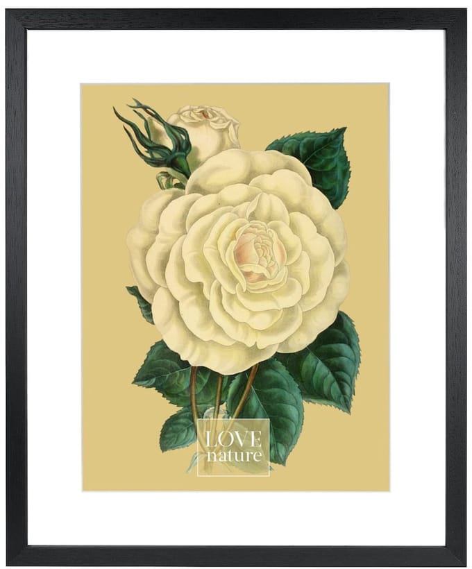 Goldbuch - Fotolijst Rustiq - Zwart - 40x50 cm