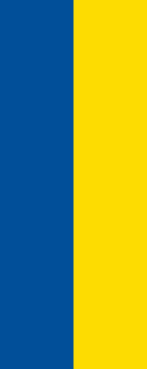 Vlag Tuttlingen 100x150cm
