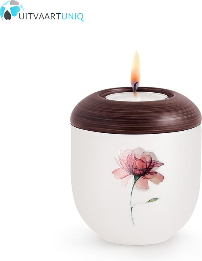 Mini urn Parlemoer roos – met lichtje
