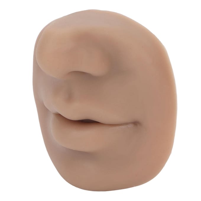 Modèle de nez en silicone avec bouche Modèle de nez souple et flexible à imitation douce Présentoirs de nez réutilisables pour l'enseignement gray