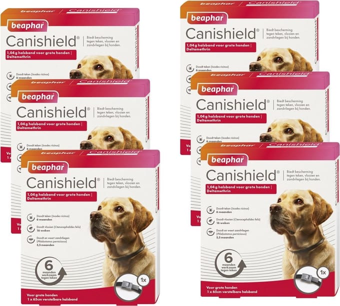 Beaphar Canishield Parasietenband Hond - Anti vlooien en tekenmiddel - 6 x per stuk Groot