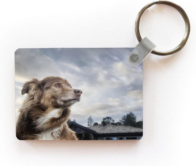 Sleutelhanger - Starende hond - Uitdeelcadeautjes - Plastic