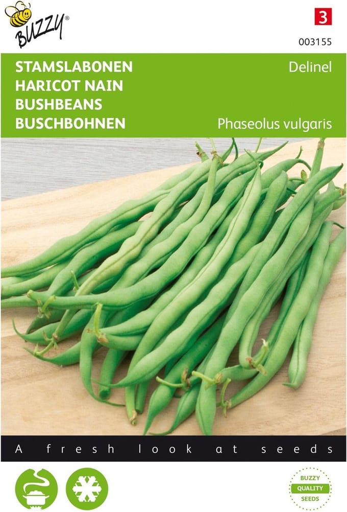 Sperzieboon (Phaseolus Vulgaris) - Stamslabonen Delinel - Buzzy - Moestuin - bloeit in Juli / Augustus / September