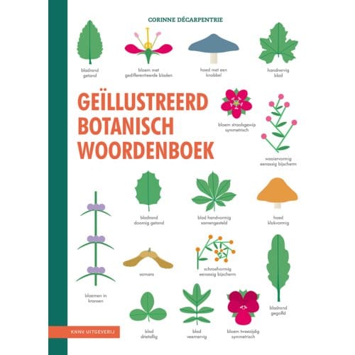 Geïllustreerd Botanisch Woordenboek - Corinne Décarpentrie