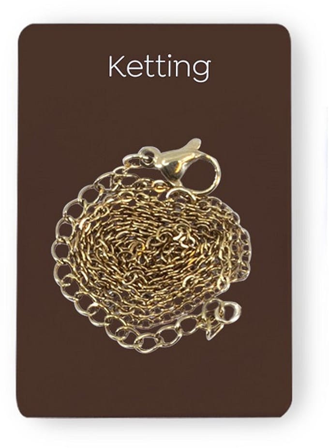 Gouden Charm - Ketting
