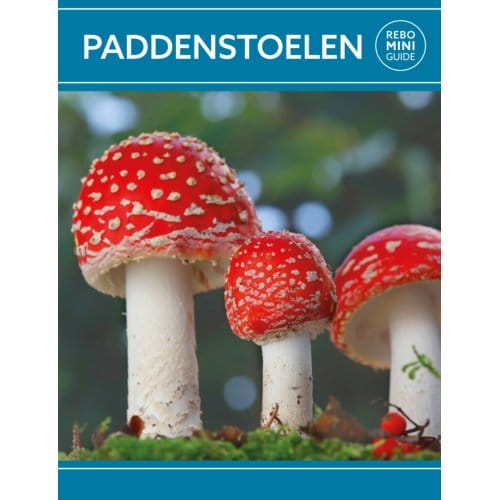 Paddenstoelen - Rebo Mini Guide