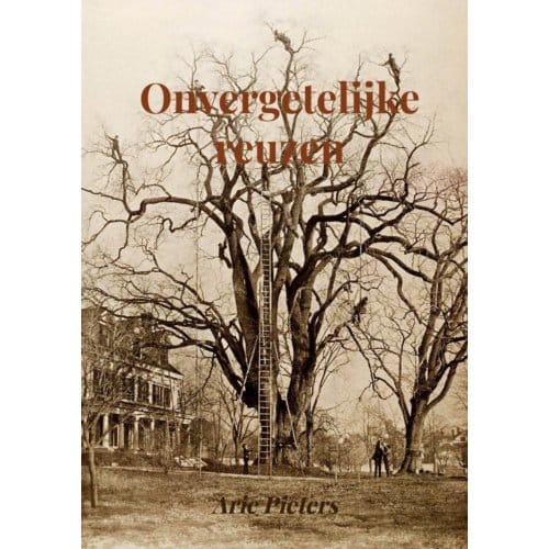 Onvergetelijke Reuzen - Arie Pieters