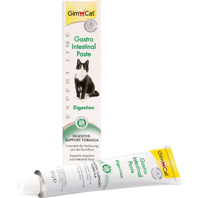 Gimcat Gastro Intestinal Pasta - Kattensnack - 50 g