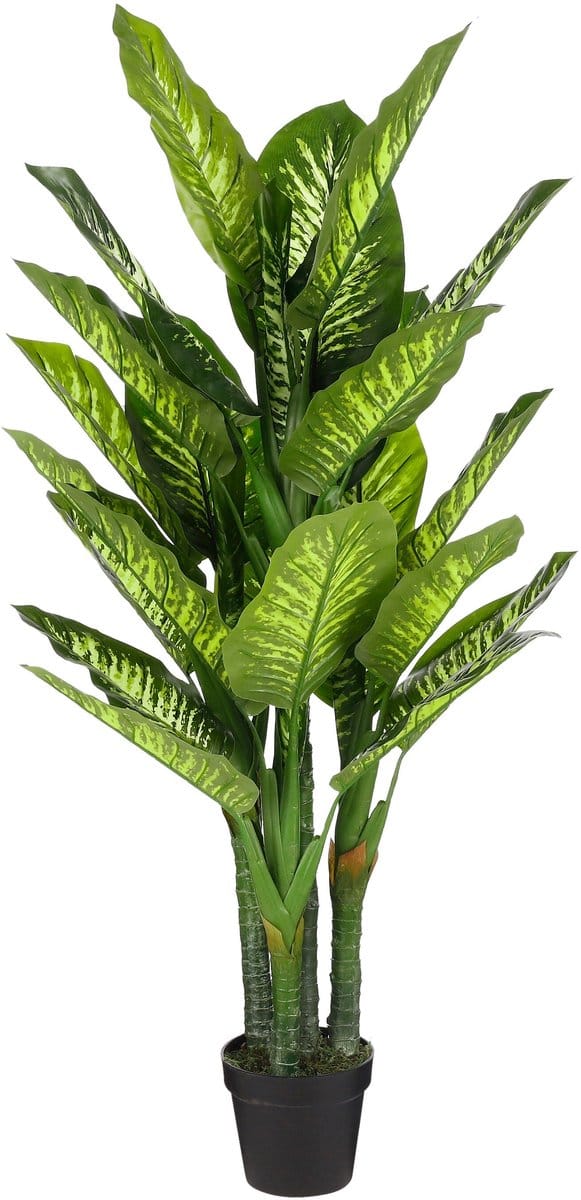 Mica Decorations Dieffenbachia Kunstplant - H150 x Ø70 cm