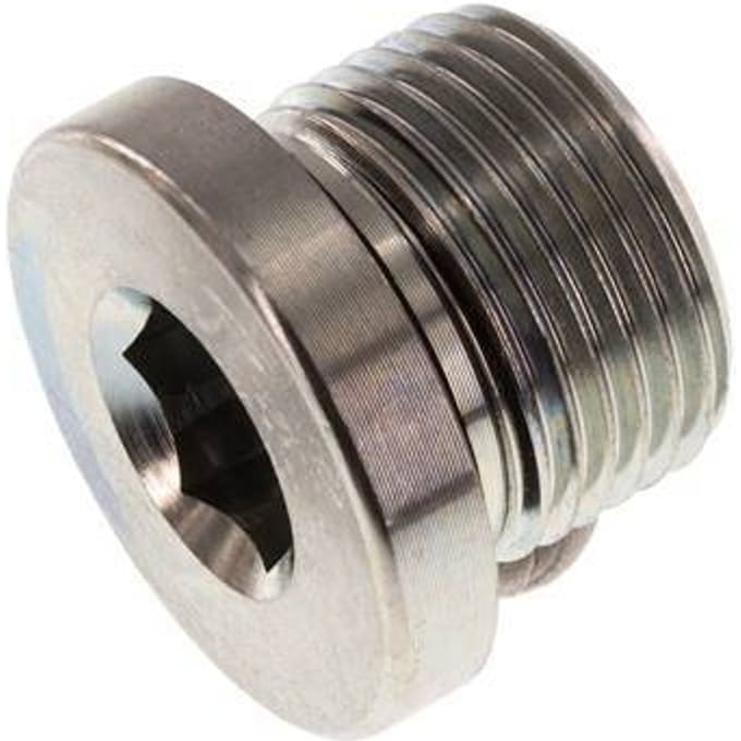 Plug M20 X 1.5 Staal NBR met Binnenzeskant 400bar [2 Stuks]