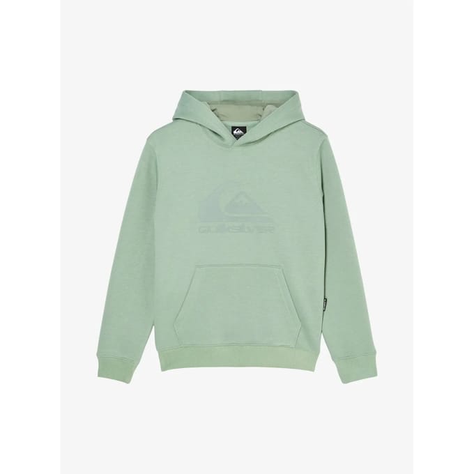 Quiksilver Comp Logo Kids Hoodie groen