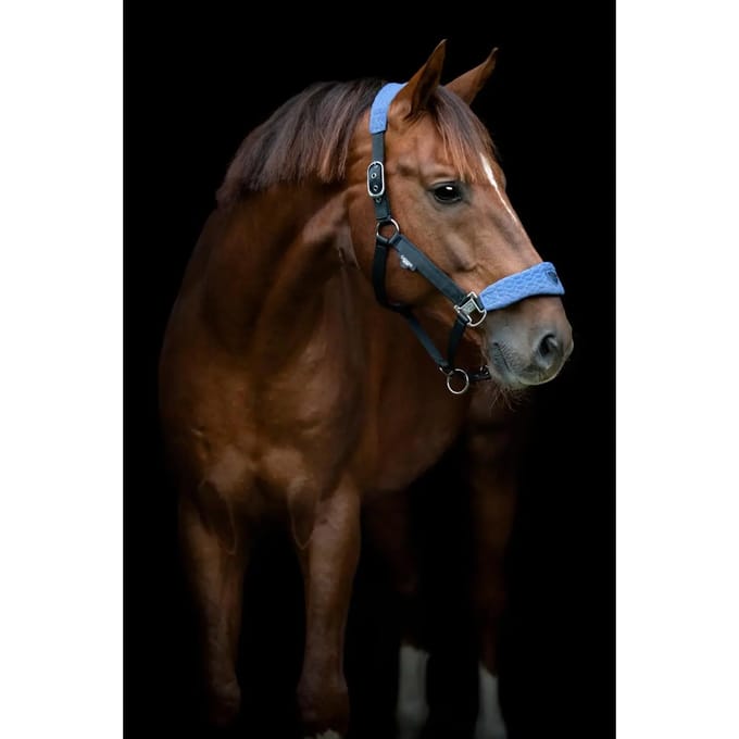 Halster voor paarden Catago FIR-Tech Grand