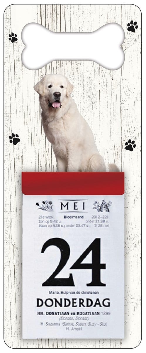 Scheurkalender 2027 Hond: Tatrahond