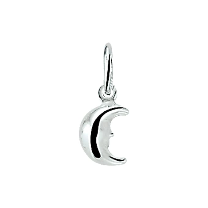 Zilveren Hanger maan 1003269