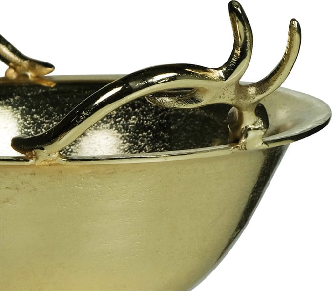 schaal gewei champagne goud medium