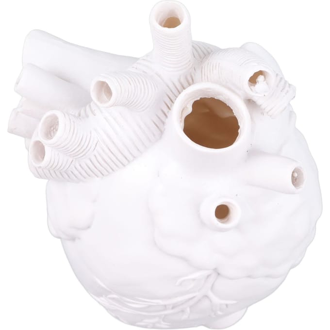 Creatieve Anatomische Hart Vazen Hars Sculptuur Hartvormige Kunst Bloemvazen Desktop Thuis wit