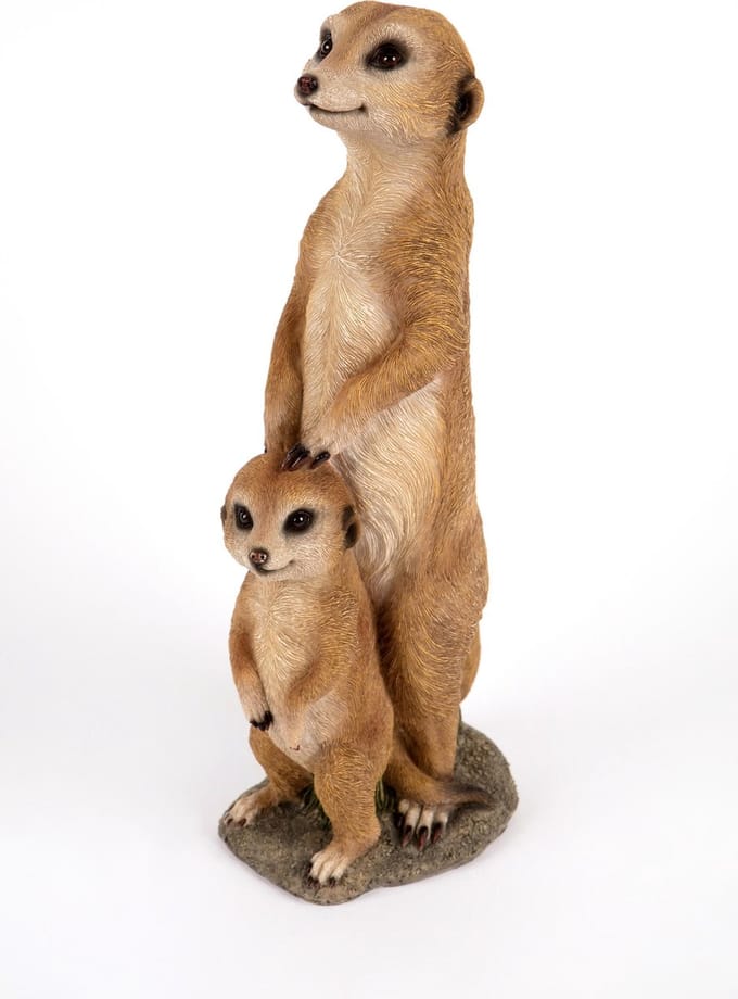 twee stokstaartjes