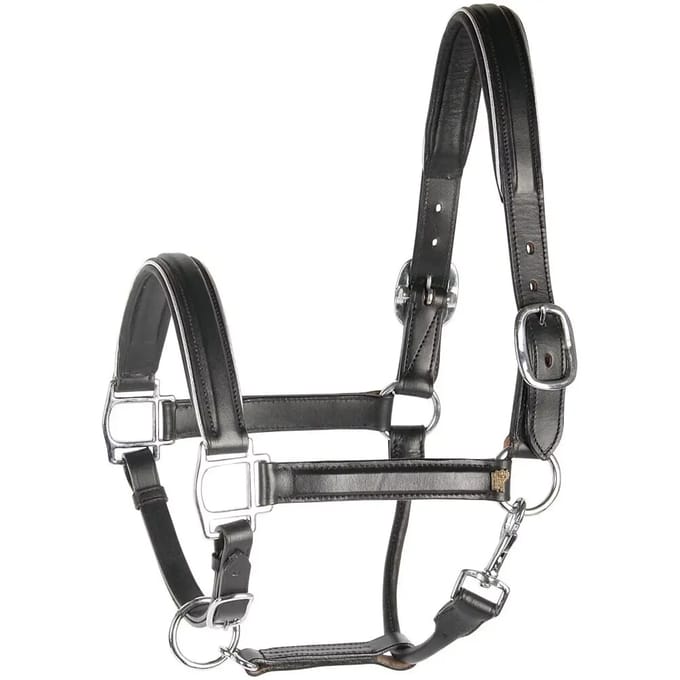 Harrys Horse Halster Leder - Zwart - Met Bies Zilver Cob