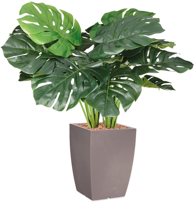 HTT - Kunstplant Monstera in Genesis vierkant taupe H90 cm