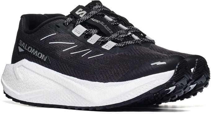 Sportieve Salomon AERO BLAZE 3 GRVL W 40 Dames
