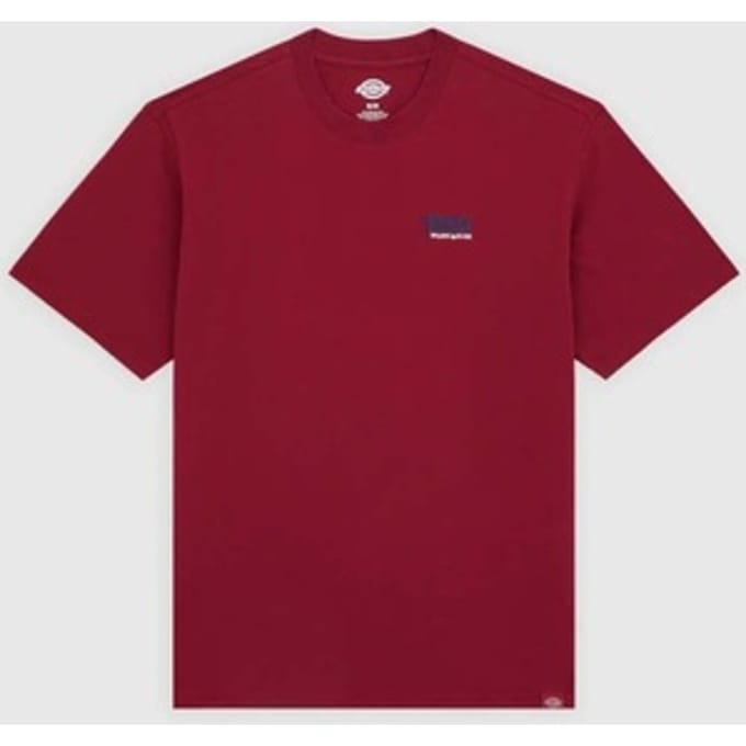 T-shirt Korte Mouw Dickies Dk0a87qdk741