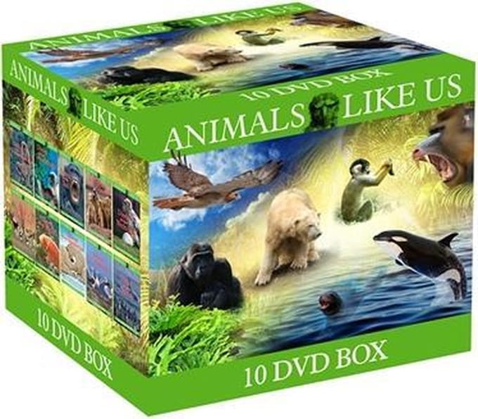Animals Like Us
