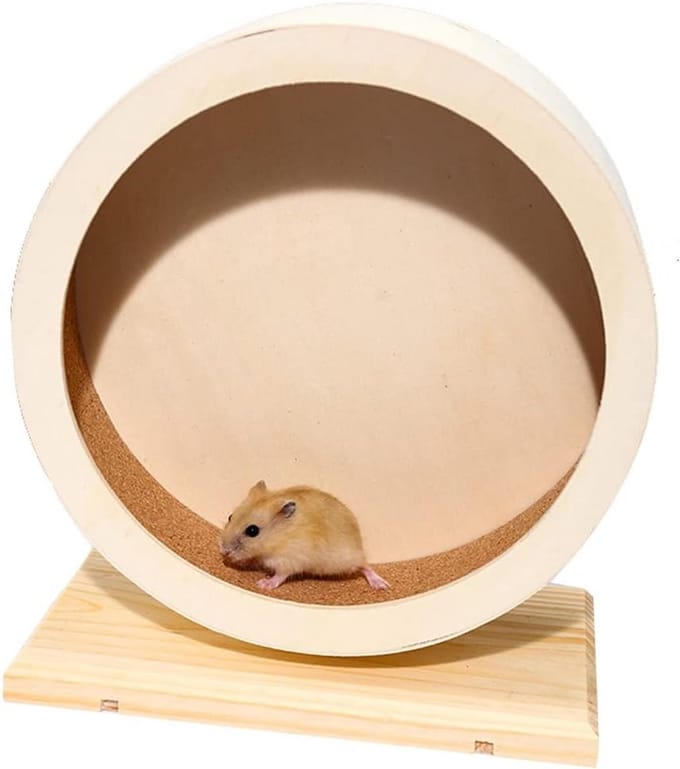 Houten Looprad - Dierenwiel - Dieren Beweging - Stil Ontwerp - 25 cm - Houtkleur