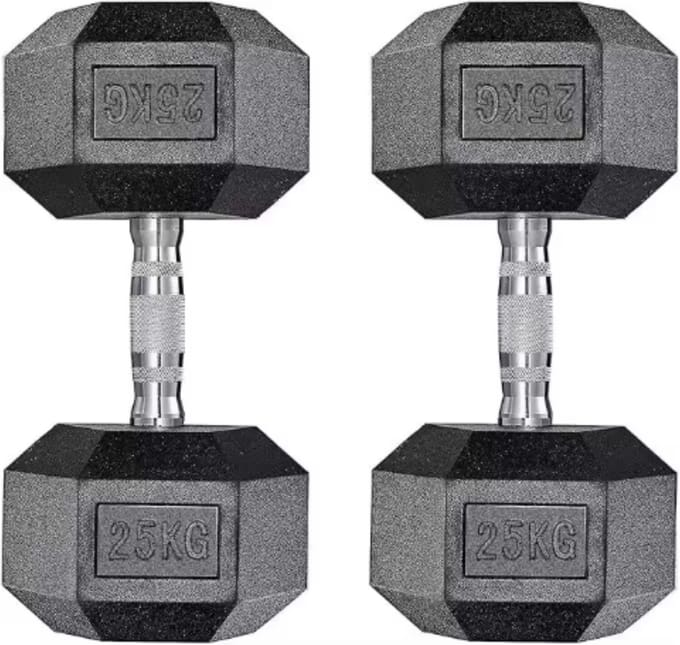 Halterset - Gewichten - Halters - Voor Krachttraining & Thuisfitness - Compacte Stalen Dumbbells van 25 kg - Set van 2