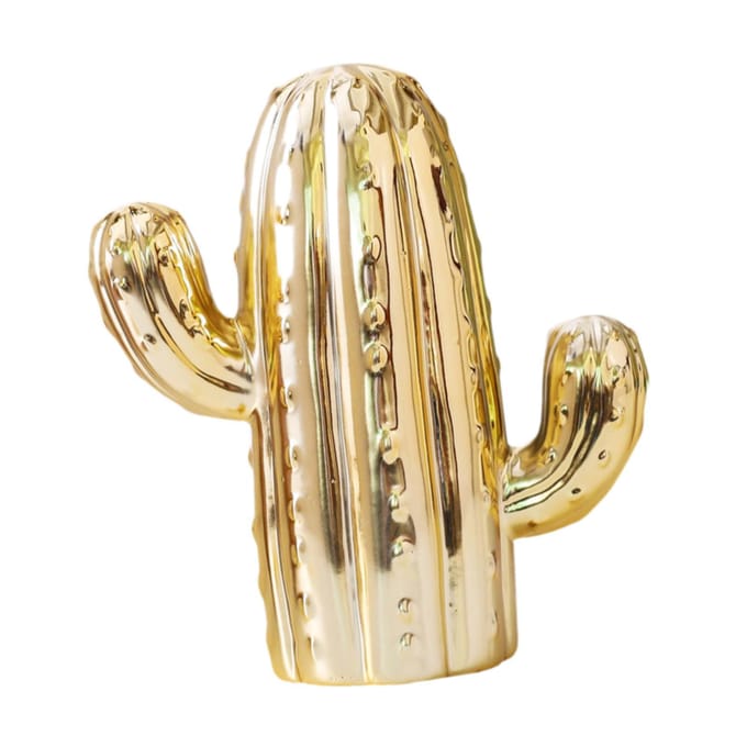 Cactus Spaarpot Spaarpot Cactus Beeldje voor Kantoor Woonkamer Kinderen beige
