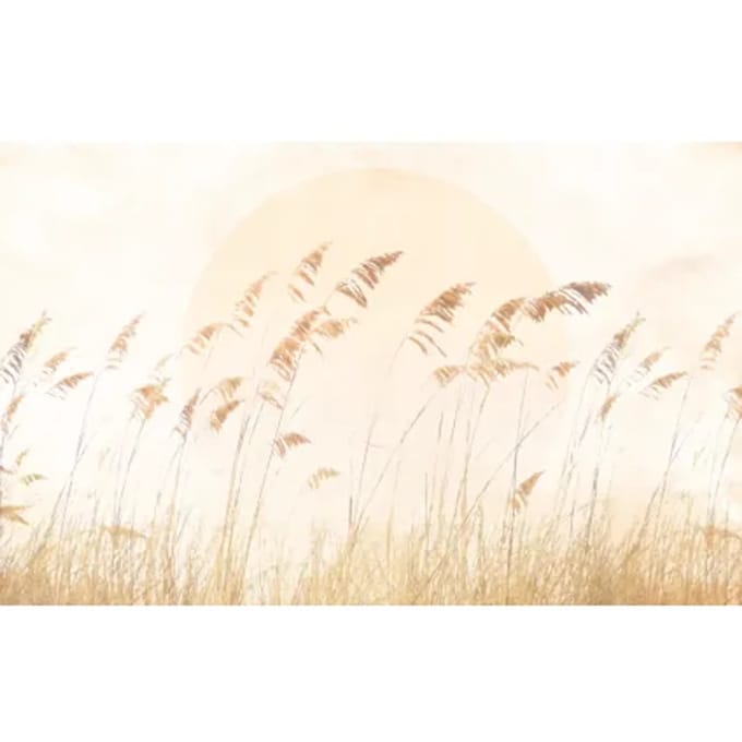 Fotobehang - Dune Grass 400x250cm - Vliesbehang