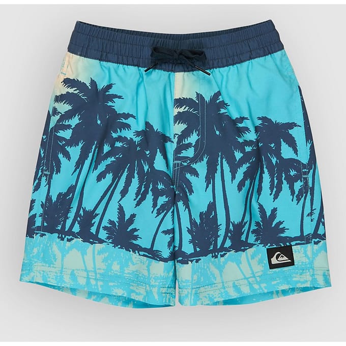 Boardshorts voor kinderen Quiksilver Everyday Printed Volley 13