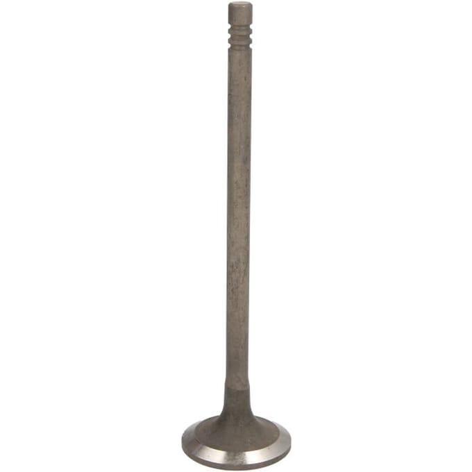 Uitlaatklep FRECCIA R6917/RNT