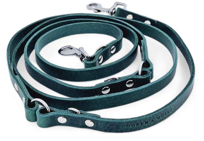 Cooper & Quint Switch Verstelbare Leren Hondenriem - Groen - 2cm - Zilver