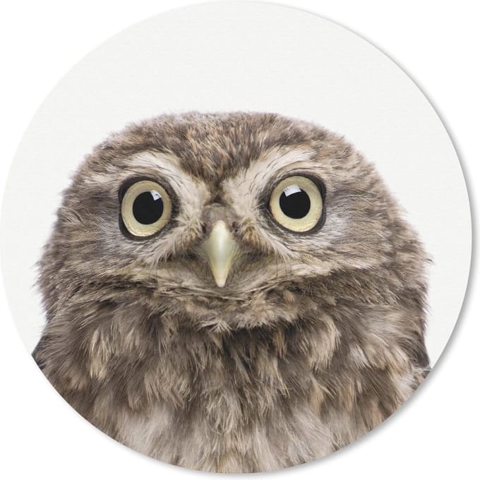Muismat rond 20x20 cm - Mousepad Dieren - Uil - Wit - Ronde muismatten