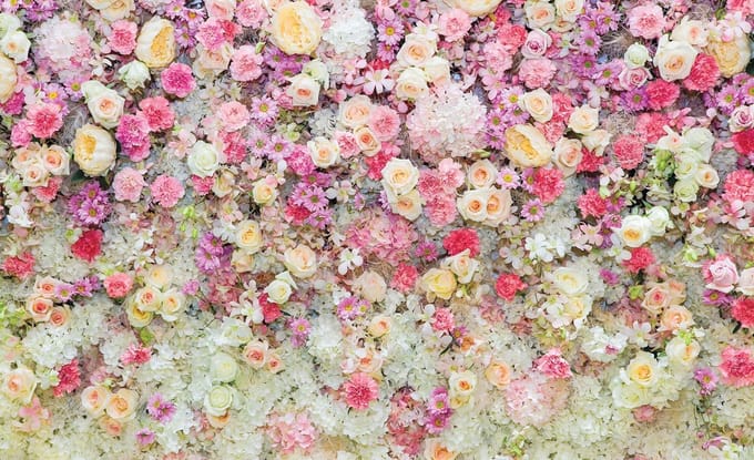 Poster | Crème , Roze | 104 x 70,5 cm