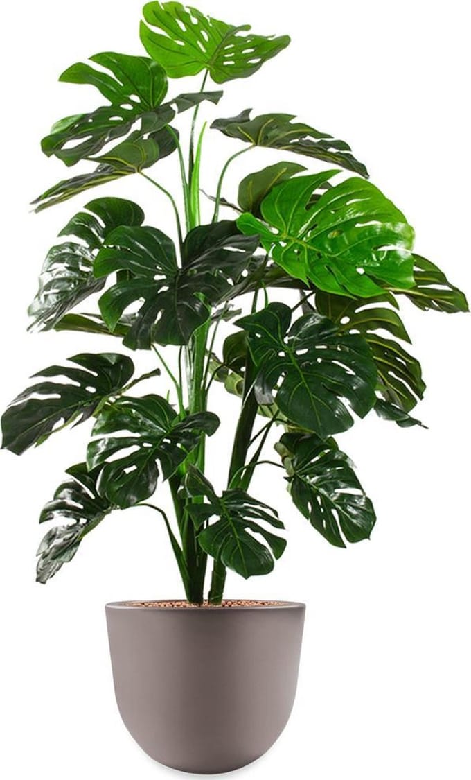 HTT - Kunstplant Monstera in Eggy taupe H130 cm
