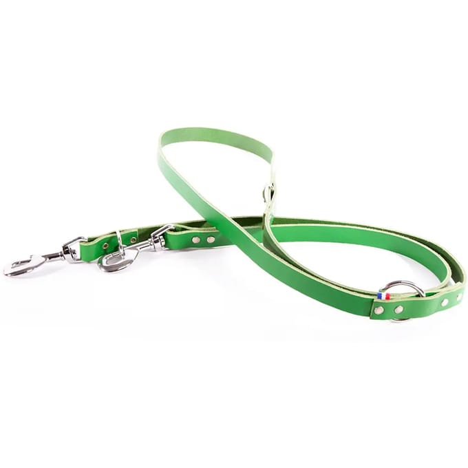 Multikleuren leren hondenriem Martin Sellier 499