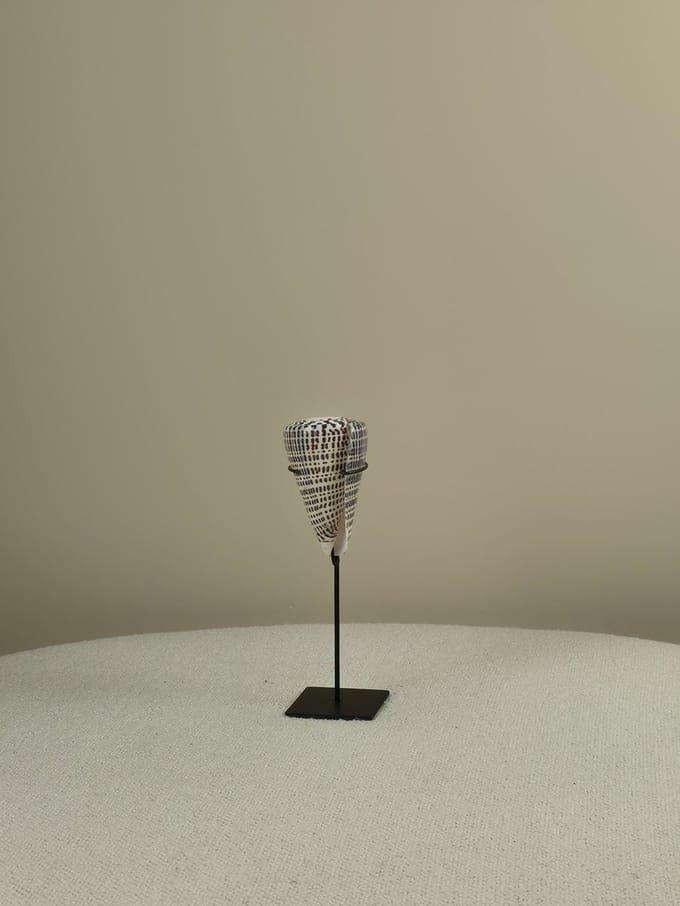 Blitzdeco - Schelp op Standaard - April - Minimalistisch decor - Beige wit - IJzeren voet