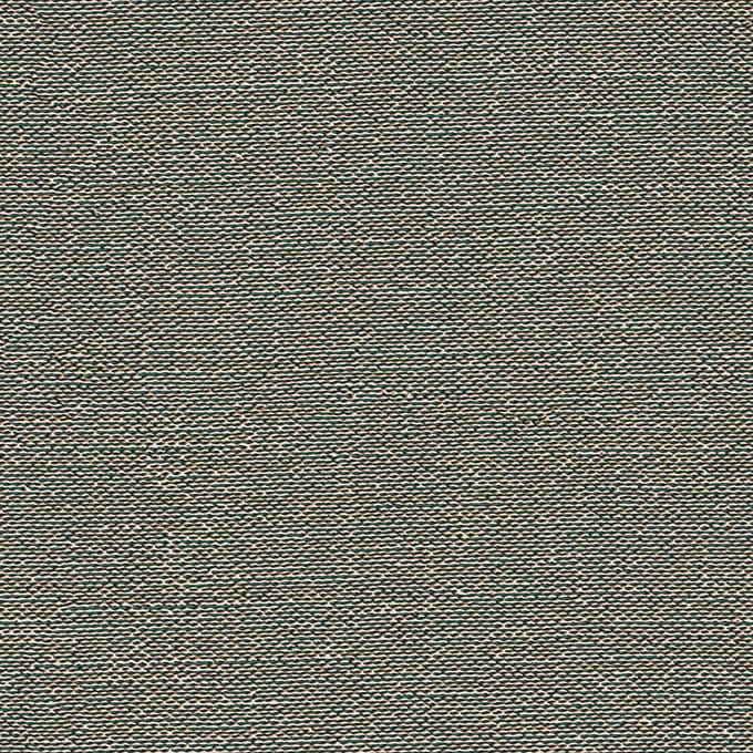 Dutch Wallcoverings - Tapestry Plain Black / Dark green - TP422406