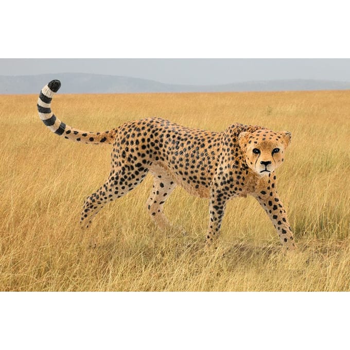 schleich WILD LIFE - Jachtluipaardwijfje - 14746