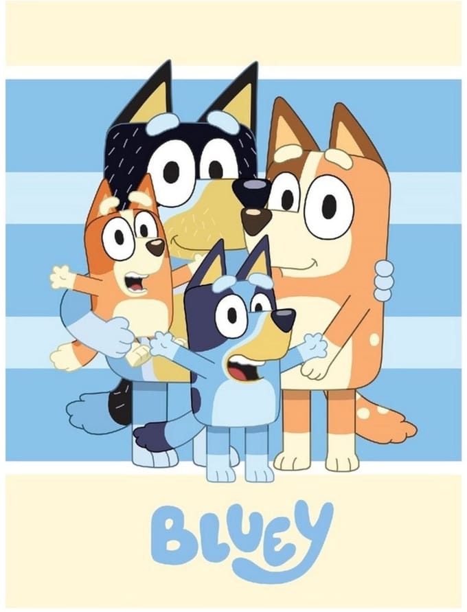 Bluey fleece deken